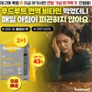 루트31