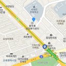 정직한롤케이크