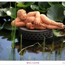 사랑의연못 이미지