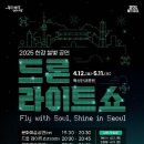 [코드엠] 2025 한강 불빛 공연(드론 라이트 쇼) 이미지