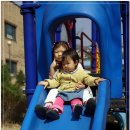 숲속다예린유치원 이미지