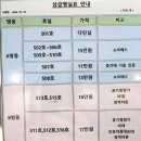 [임신일기] #19~20주차 일기 : 자궁근종통 / 정관 아이앤젤 입원 / 19주 조기진통 / 자궁수축 입원
