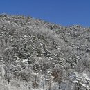 해피데이공인중개사사무소 이미지