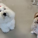 하울팟 한남점 이미지