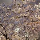 기린반점 | 대구 두류동 중국집 기린반점 달서구 가성비 맛집 솔직후기