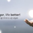 비고르 바른건강플러스