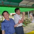 봉담초등학교 이미지