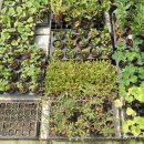 김정태 농장 이미지