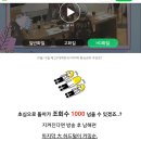 노리패