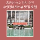 하버 그랜드 홍콩 후기! 수영장, 하버뷰, 위치까지 홍콩섬 호텔 후기