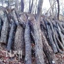 연담마을 이미지