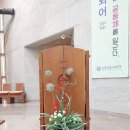 2024년 6월 1주 성전 꽃꽂이 - 오천성당 이미지