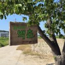 스테이백촌 이미지