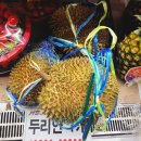 통영식자재마트 이미지