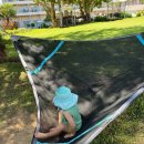 마리나키즈 이미지