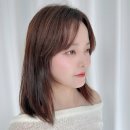 전국머리자랑 이미지