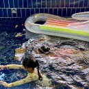 벼리키즈풀빌라 이미지