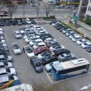 서구청 의회동 이미지