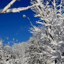 가족캠핑장 이미지