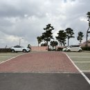 메누하 | 제주 브런치카페 애월 메누하 카페 방문후기