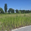 김윤숙공인중개사사무소 이미지