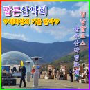 영평참맛 | [영평🏃🏻‍♀️] 울주 세계 산악 영화제 UMFF 후기