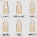 네일하는날 네이버블로그