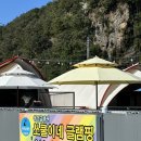[포천 쏘쿨이네글램핑] 개별 울타리가 있는 애견글램핑장 추천