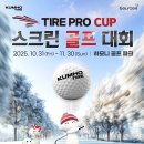 프로 스크린골프 이미지