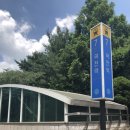 과천역 7번 출구(내점길) 이미지