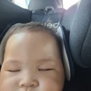 뿔난머리 이미지