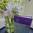 조이천사 이미지