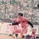 이글스 이미지