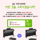 소닉메이트 이미지