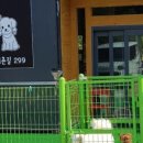 개스토랑 이미지
