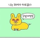 계림초등학교 정문 건너편 육교 | 251227~28 망상해수욕장