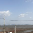 몽키즈풀빌라 이미지