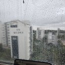 씨유 상암오벨리스크2차점 | 마포구 상암동 상암오벨리스크2차 오피스텔 원룸 입주청소 꼼꼼한 후기