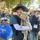 오류보건진료소 이미지