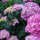 ㈜선일일렉콤 이미지