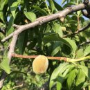 오봉농장 이미지