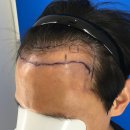 노블라인의원 이미지