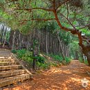 숲속쉼터옆 이미지