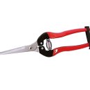 백마상회 이미지