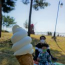 안성팜랜드 푸드트럭 이미지