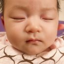 용신31 이미지