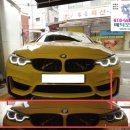 F83 이미지