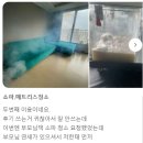 남양주소파청소매트리스청소청소의비결 이미지