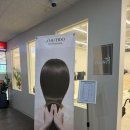 에이치프라자 이미지