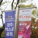국가대표 화랑태권도 | 경주세계문화엑스포 인피니티 플라잉 공연 관람후기